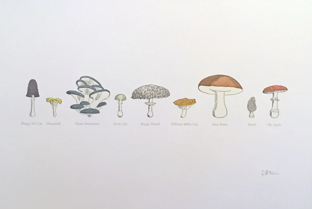 Framed - A Few Mushrooms Letterpress Print by Green Bird Press