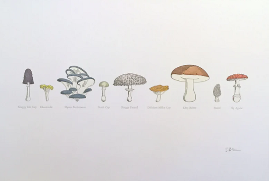 Framed - A Few Mushrooms Letterpress Print by Green Bird Press