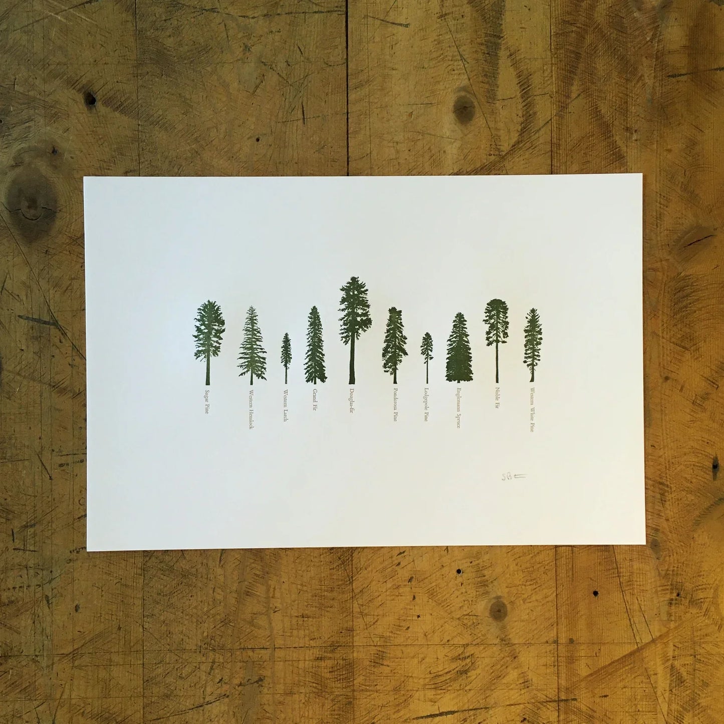 Framed - A Few Conifers Letterpress Print by Green Bird Press