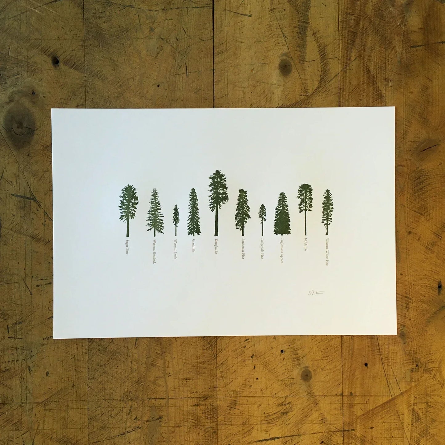 Framed - A Few Conifers Letterpress Print by Green Bird Press