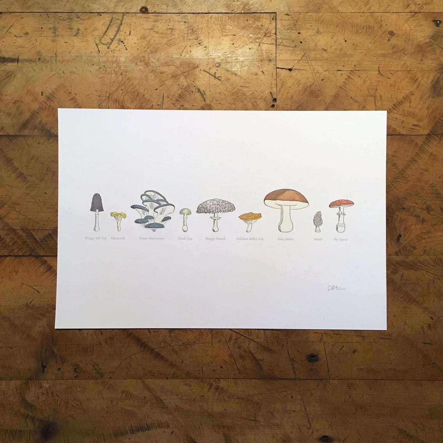 A Few Mushrooms Letterpress Print by Green Bird Press