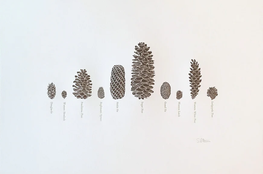 Framed - A Few Pinecones Letterpress Print by Green Bird Press