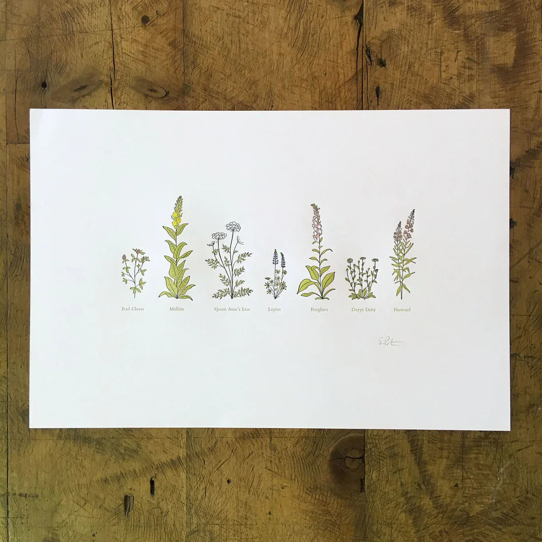 Framed - A Few Wildflowers Letterpress Print by Green Bird Press