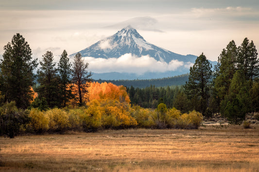 Autumn on the meadow by Extreme Oregon