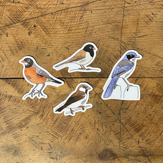 Bird Sticker Pack 1 Set of 4 by Green Bird Press