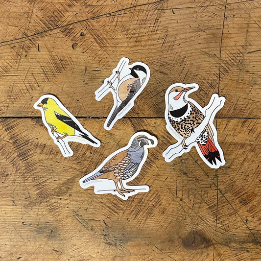 Bird Sticker Pack 2 Set of 4 by Green Bird Press