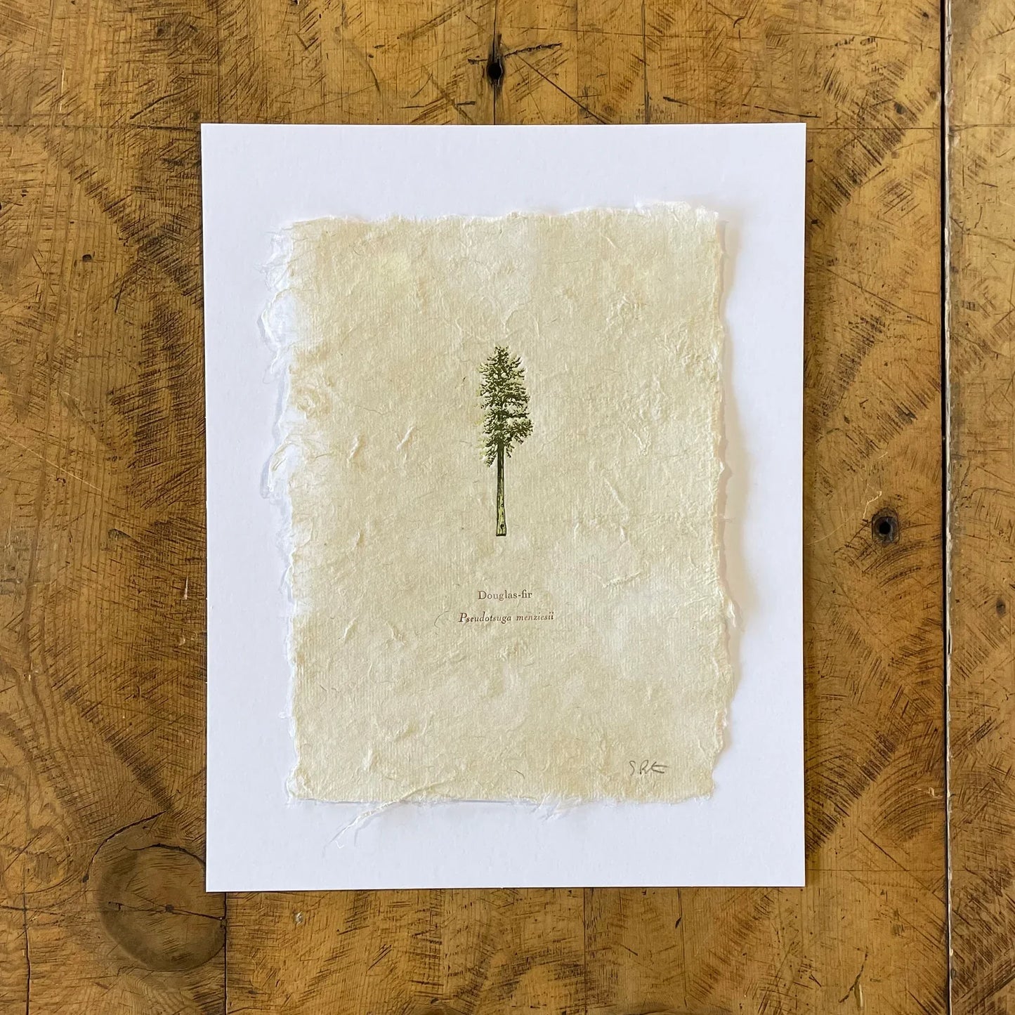 Framed - Douglas Fir Letterpress Print on Handmade Paper by Green Bird Press