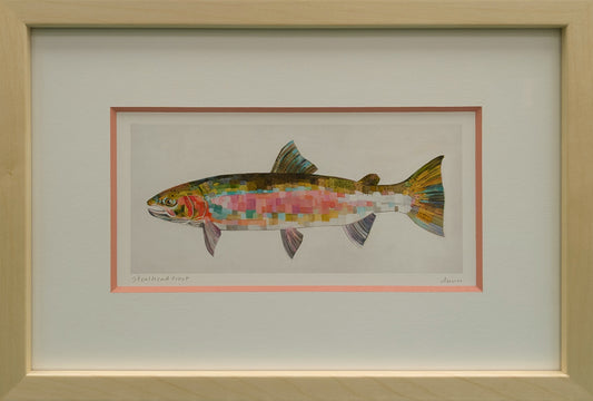 Framed - Steelhead Trout print by Sheila Dunn