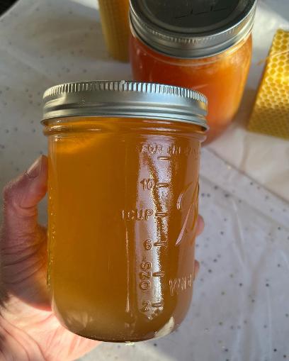 Central Oregon Raw Honey by The Royal Bee