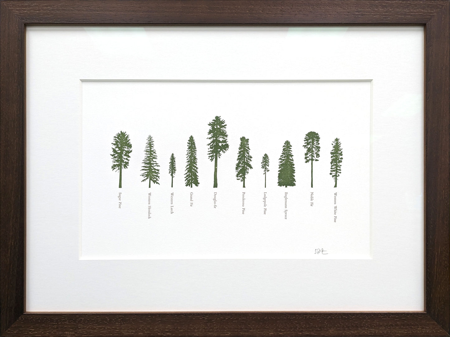 Framed - A Few Conifers Letterpress Print by Green Bird Press