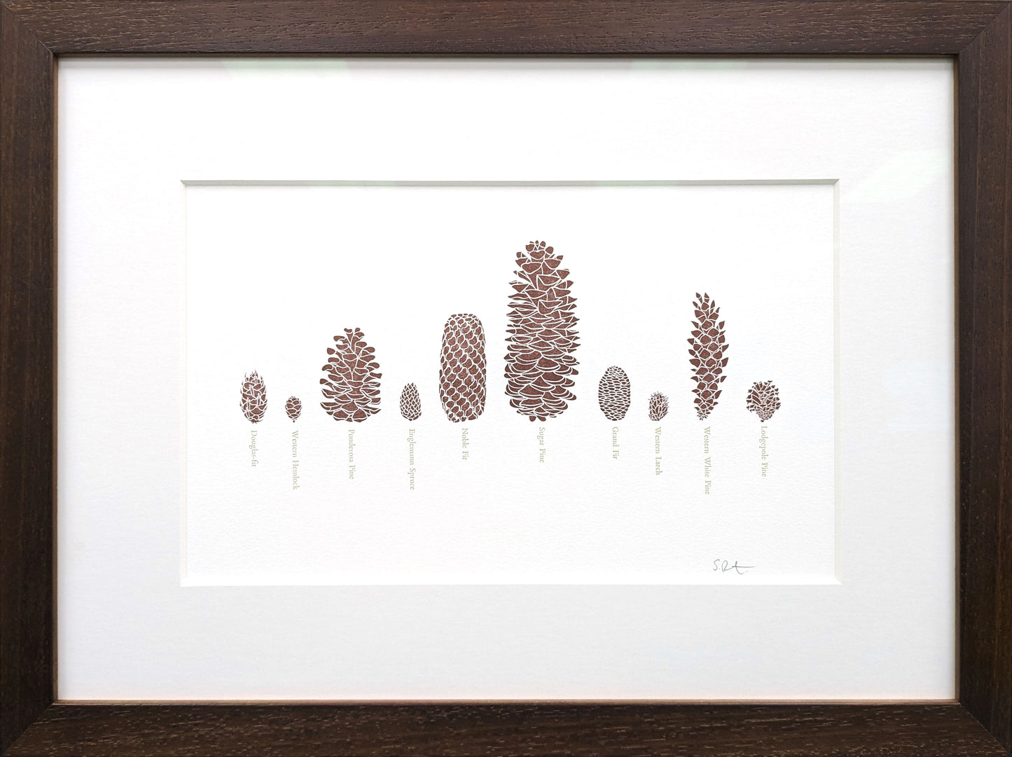 Framed - A Few Pinecones Letterpress Print by Green Bird Press