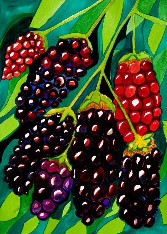 Marionberries Print by Kathy Deggendorfer