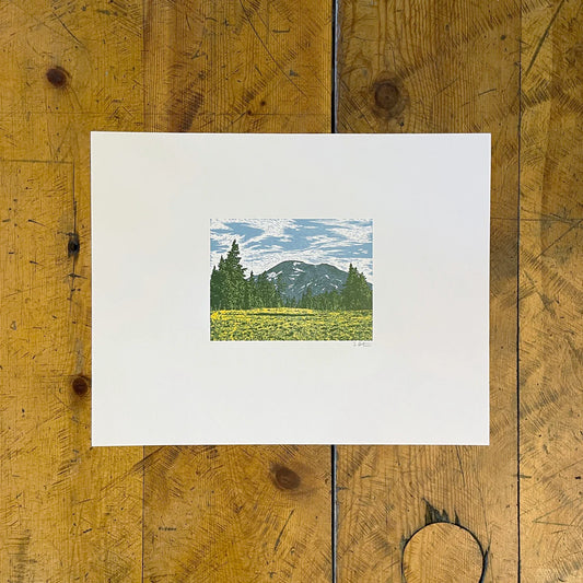 South Sister from Wickiup Plain Letterpress Print by Green Bird Press