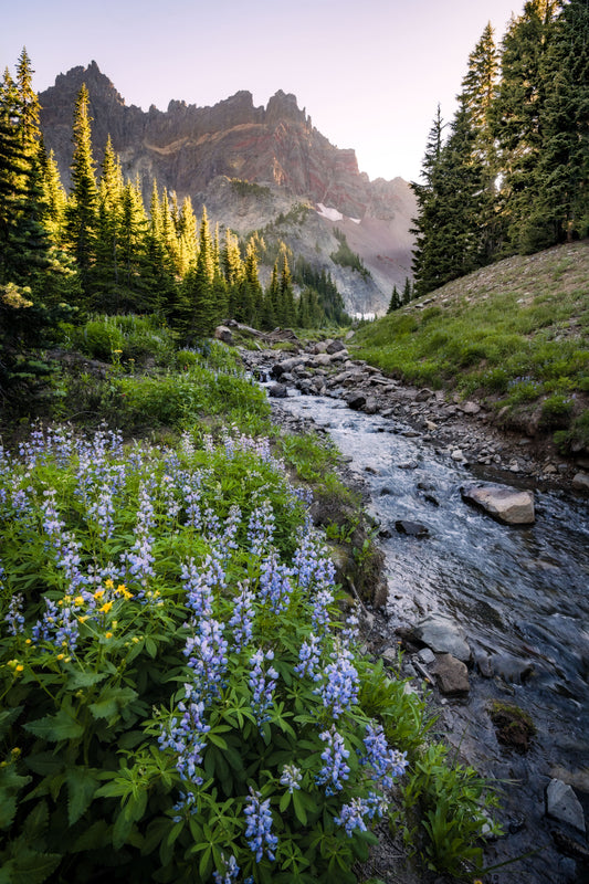 Three Fingered Jack Canyon Creek 2 Photograph by Extreme Oregon