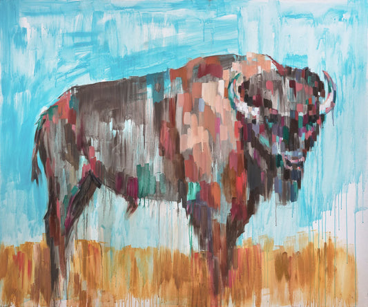 Framed - American Bison by Sheila Dunn