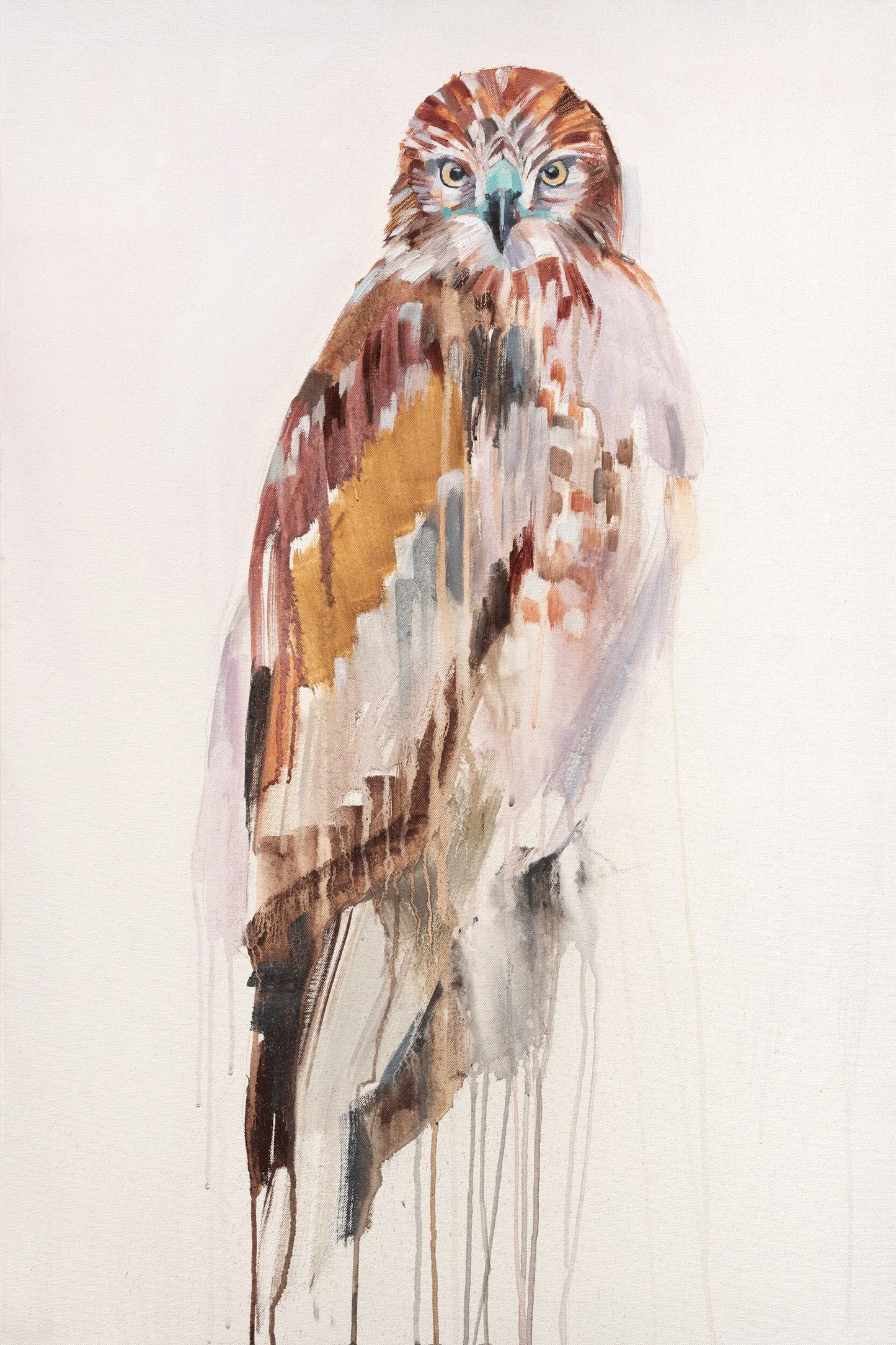 Red-Tailed Hawk by Sheila Dunn