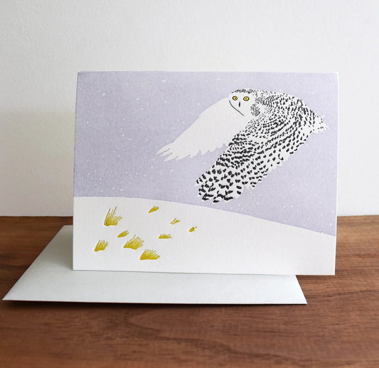 Snowy Owl on Tundra Card by Quail Lane Press